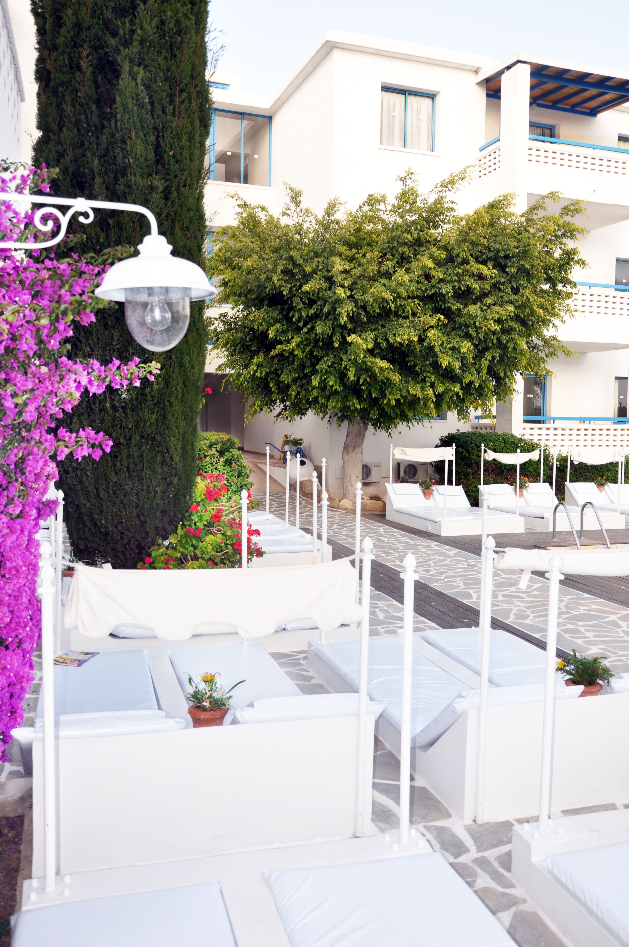 Une terrasse sur le toit avec des chaises longues blanches, un pot de fleurs et un grand arbre.