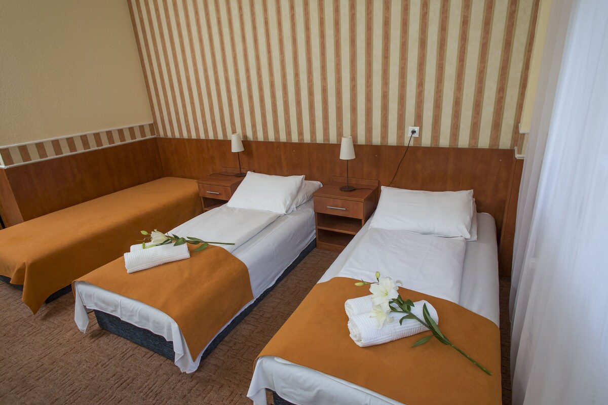 Habitación de hotel con dos camas individuales, cada una con colcha marrón y ropa blanca, y cabeceros de madera. Se observan mesitas de noche con lámparas y un enchufe en la pared.