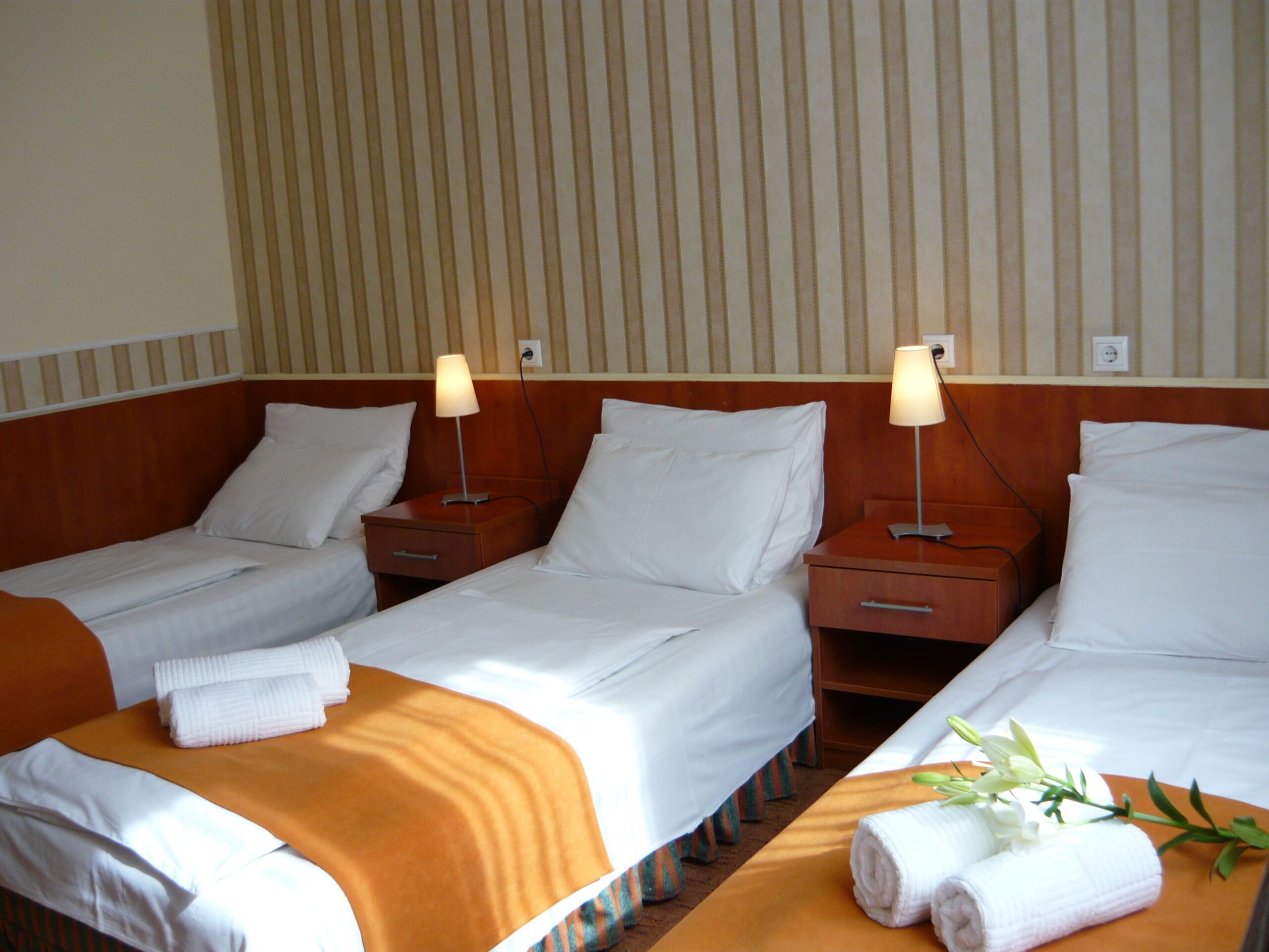In-room safe, desk, iron/ironing board (on request), WiFi (free)