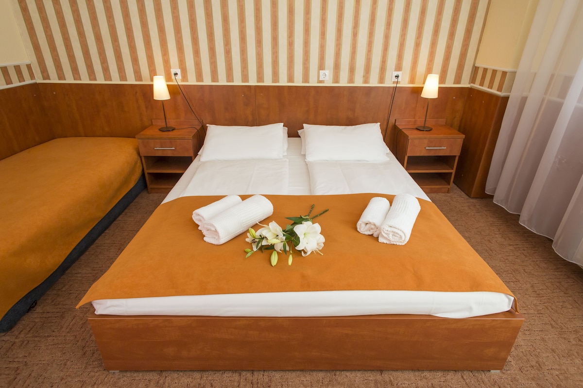 Una habitación de hotel con una cama grande, dos mesitas de noche y un cabecero de madera.