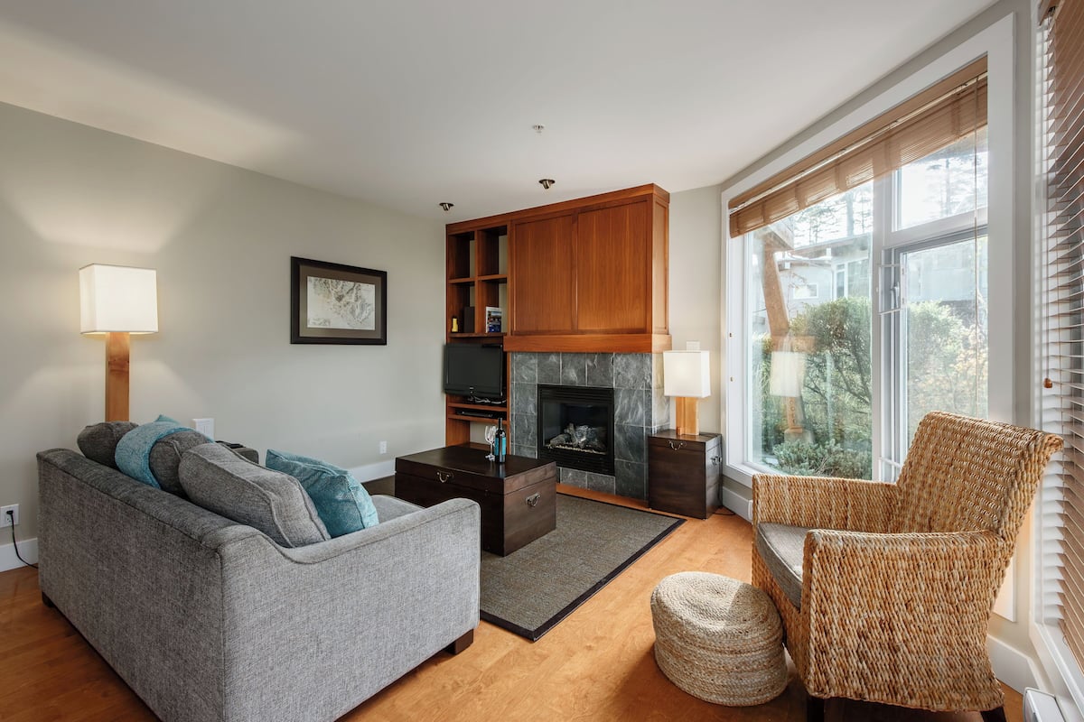 Flat-screen TV, fireplace, DVD player