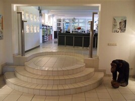 Tratamientos corporales, envolturas corporales, exfoliaciones corporales