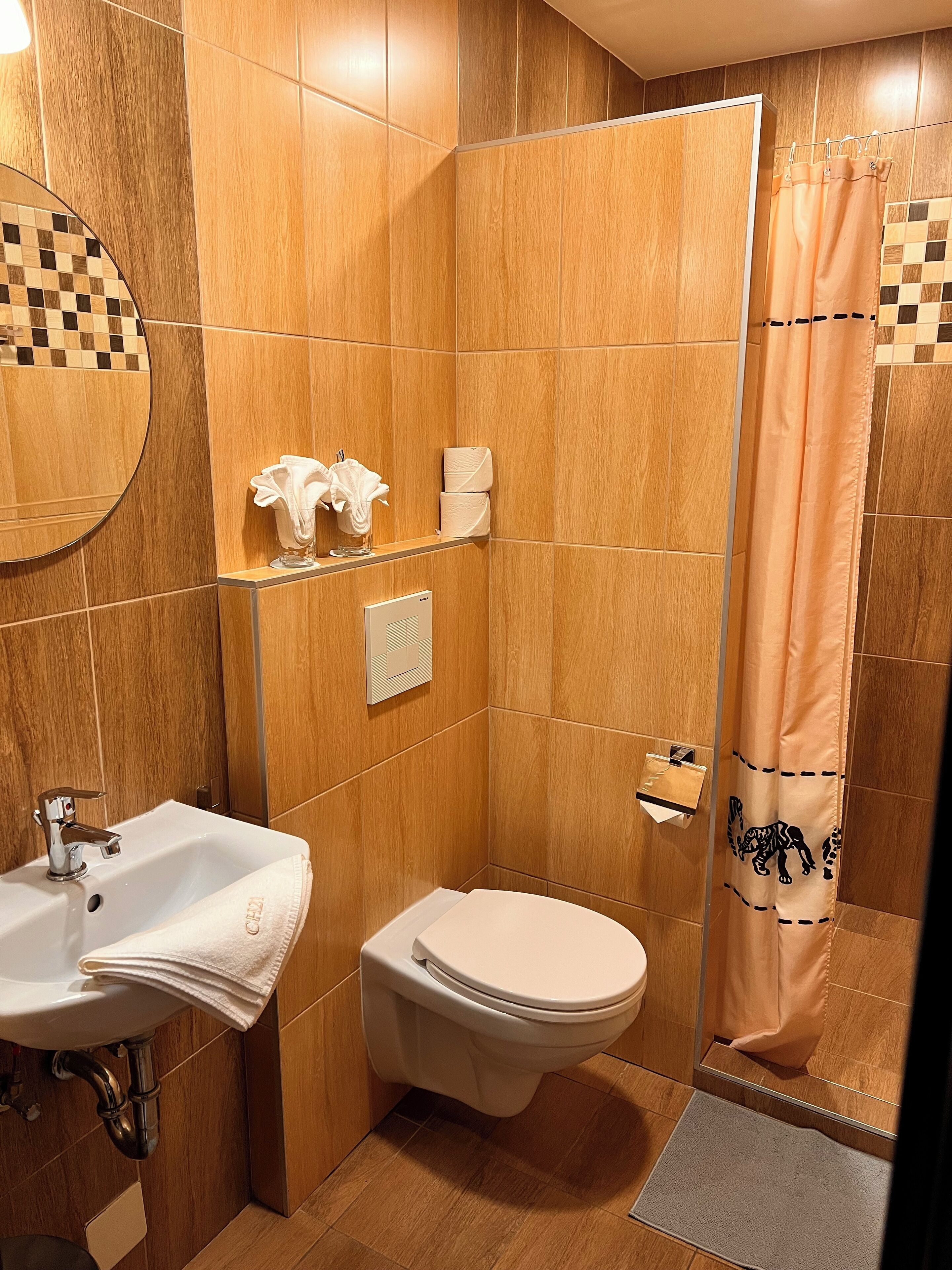 business double room | bathroom | shower, hair dryer, towels, shampoo