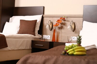 Central Hotel 21