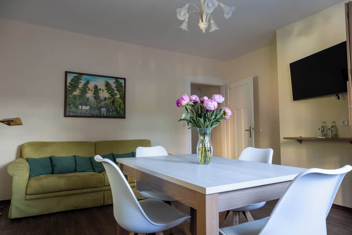 Apartment 2 | Opholdsområde | Tv