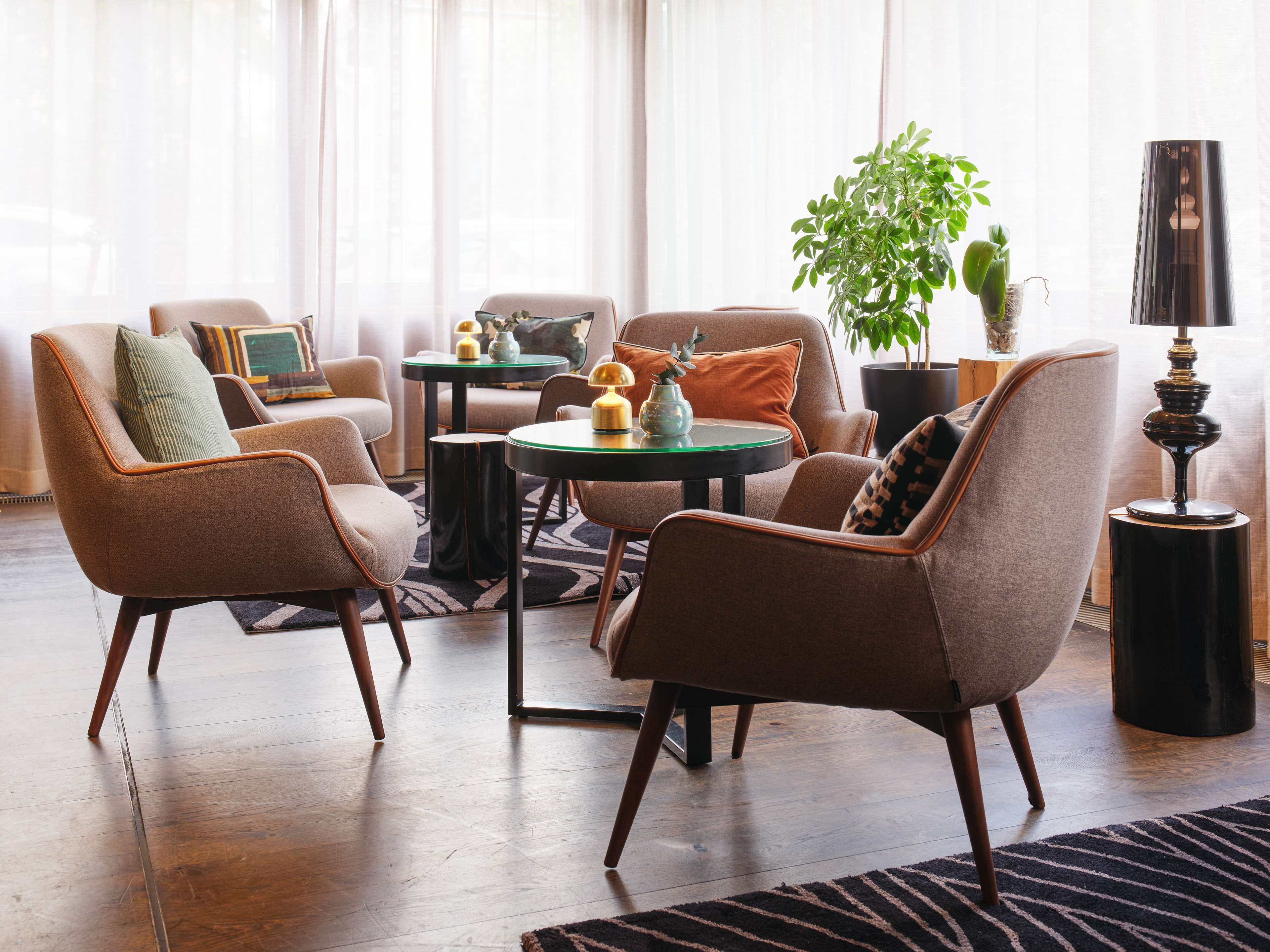 A modern living room with a sofa, armchairs, a coffee table, and a potted plant.