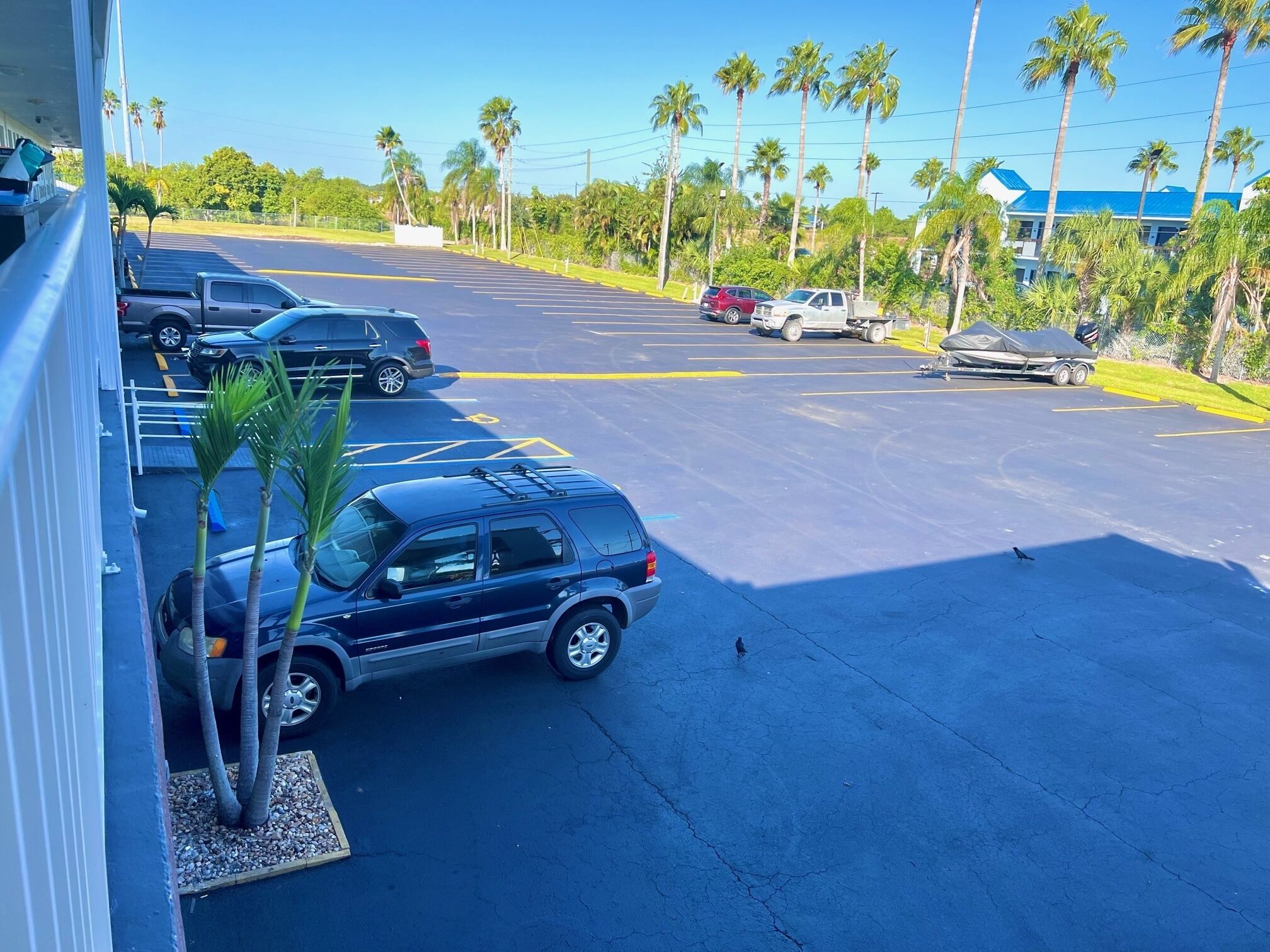 Un estacionamiento con varios coches, incluyendo dos SUVs, uno azul y otro rojo, además de un remolque cubierto. Palmeras bordean el área, y se observa un edificio con techo azul al fondo.