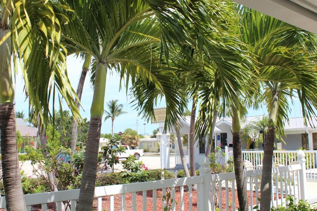 A view of a white fence, palm trees, and a building with a sign that reads 'CONDO INN'.