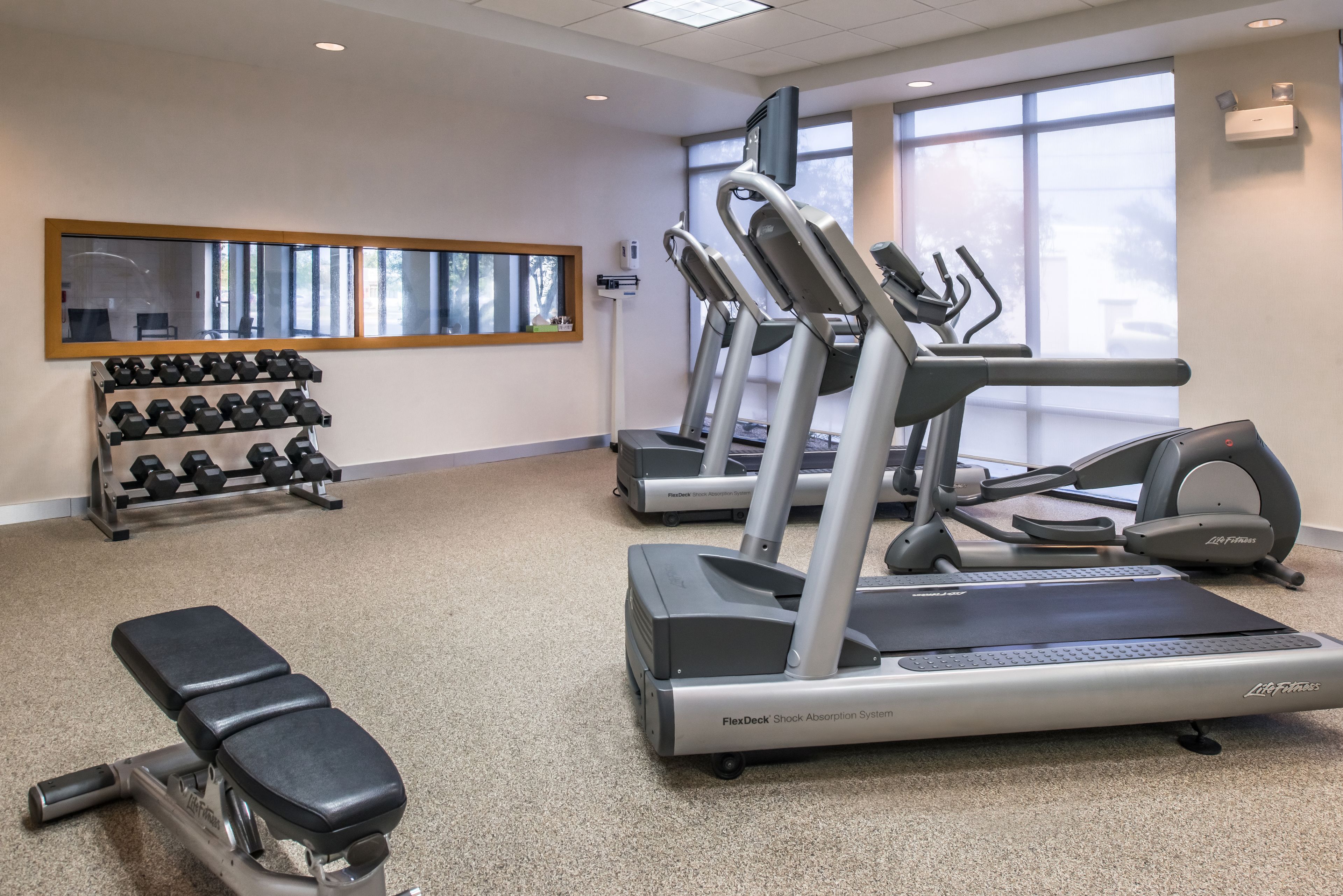A gym with treadmills, dumbbells, and a bench.