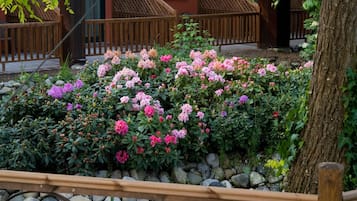 Giardino