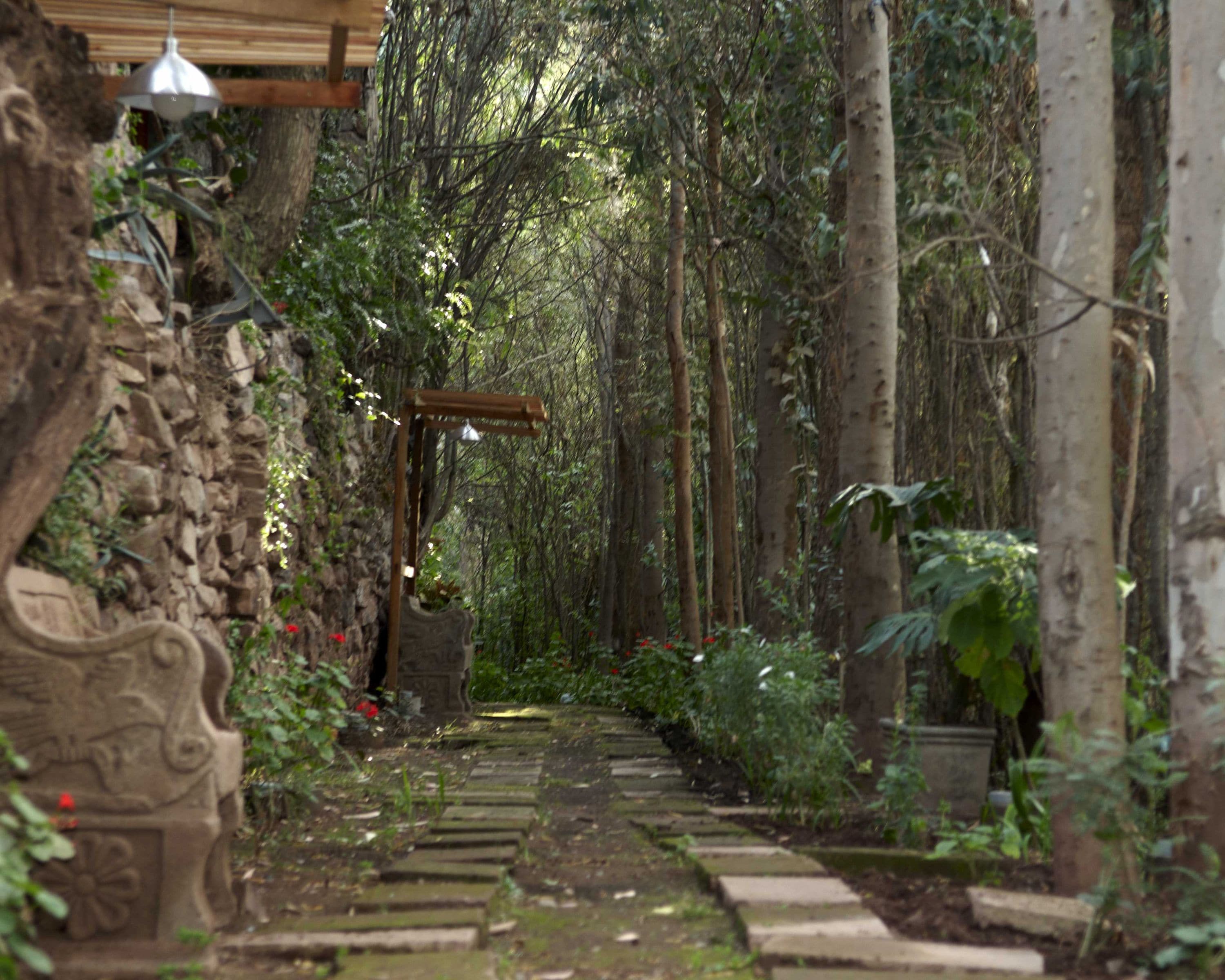 Un sendero de piedra serpentea por un jardín exuberante con una pérgola de madera y faroles colgantes.