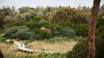 Un sendero costero con vegetación densa y vistas al mar.