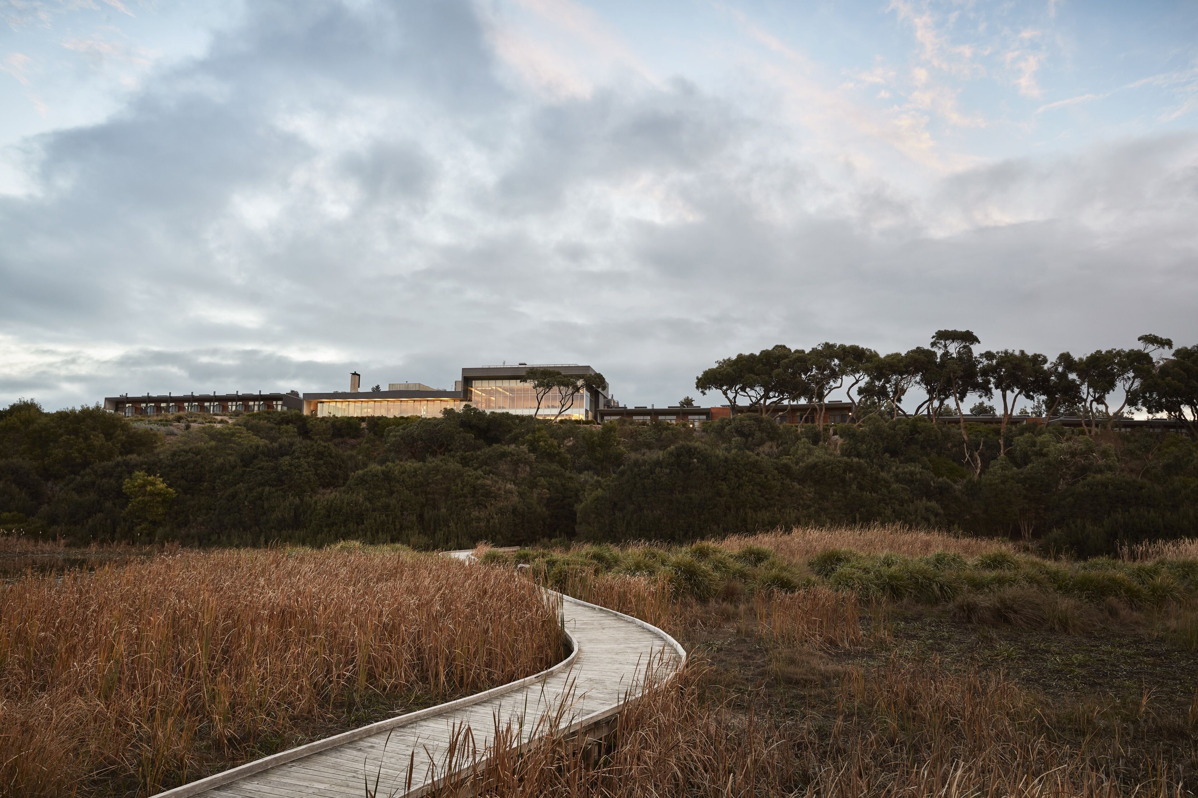 A wooden boardwalk leading to a building with a flat roof, surrounded by dense shrubbery and trees.