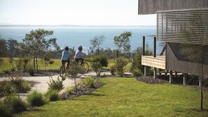 Un bâtiment moderne doté d’une terrasse en bois offrant une vue sur un paysage côtier.