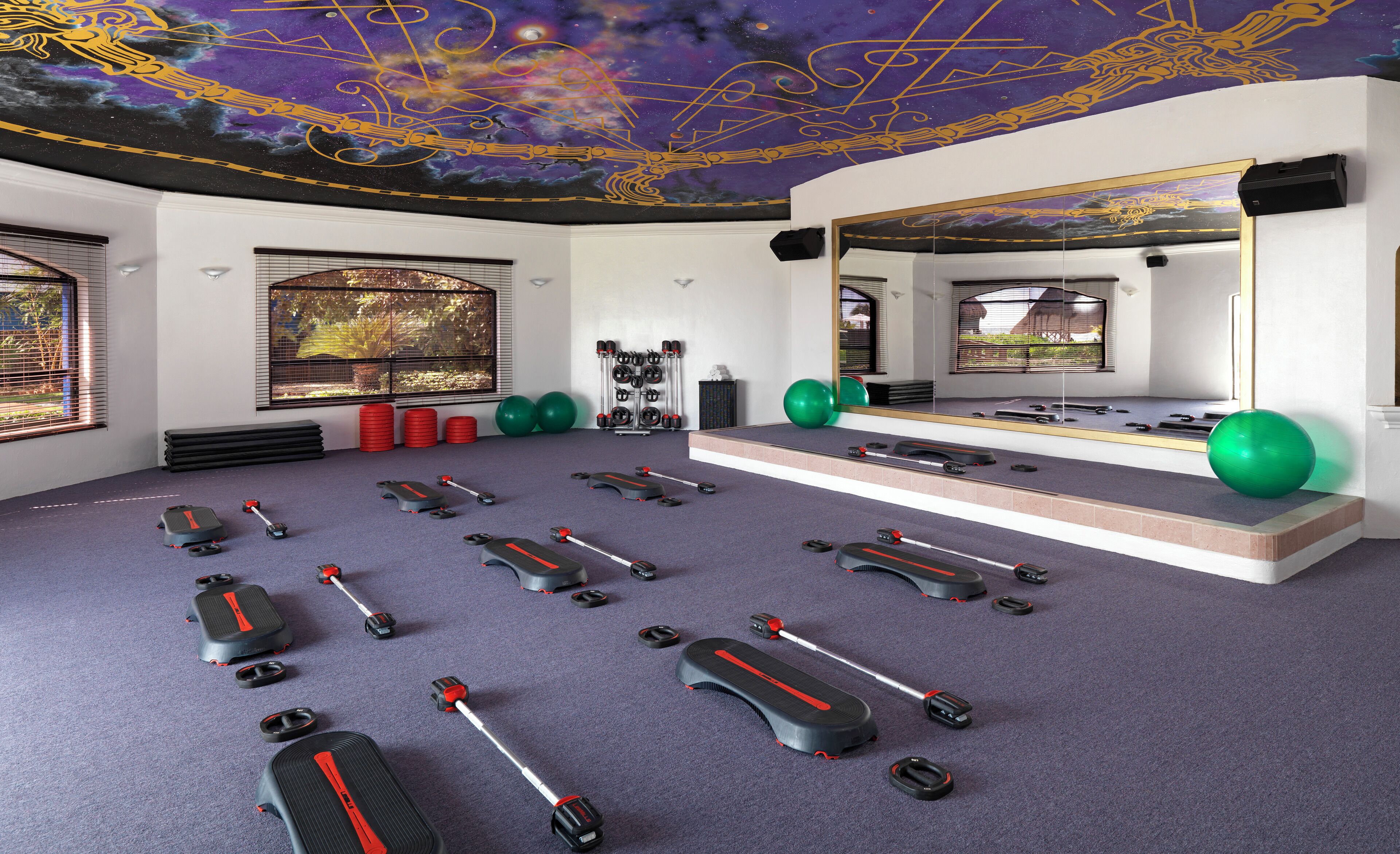A gym with exercise equipment, a large mirror, and a ceiling mural.