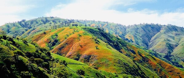 A panoramic view of rolling hills with sparse vegetation and a clear sky.