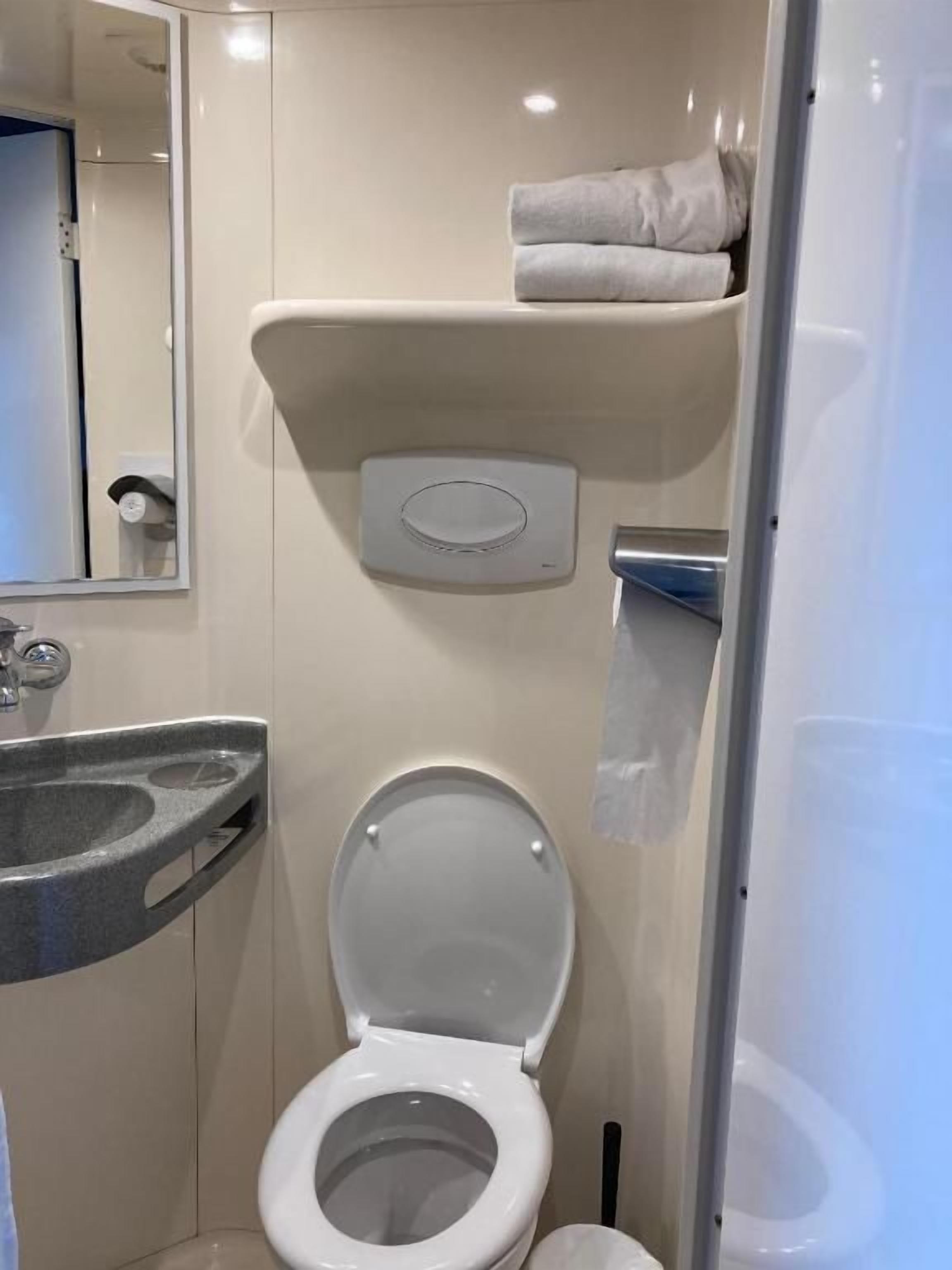 A bathroom with a toilet, sink, and towel storage.