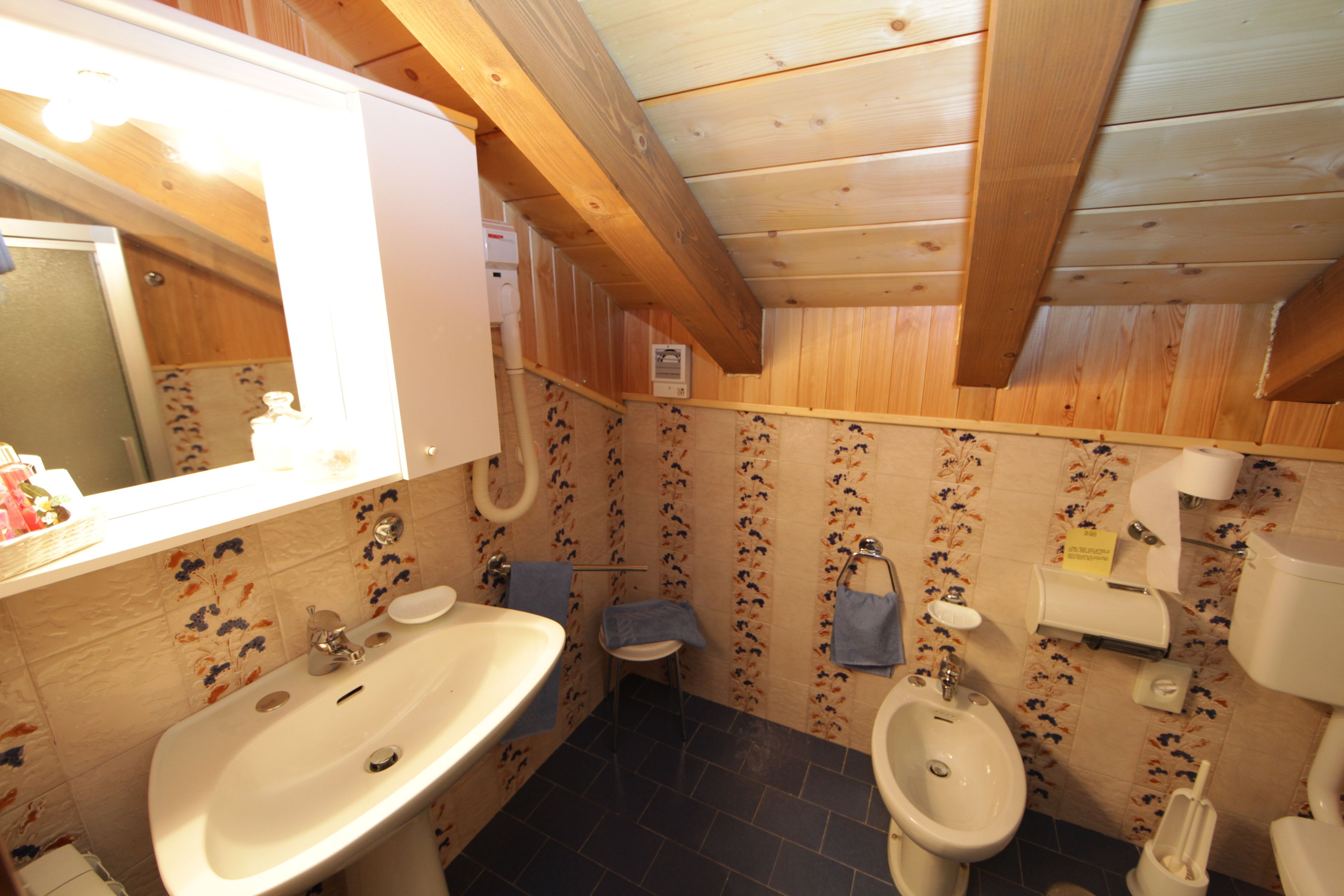 single room | bathroom | shower, free toiletries, hair dryer, bidet