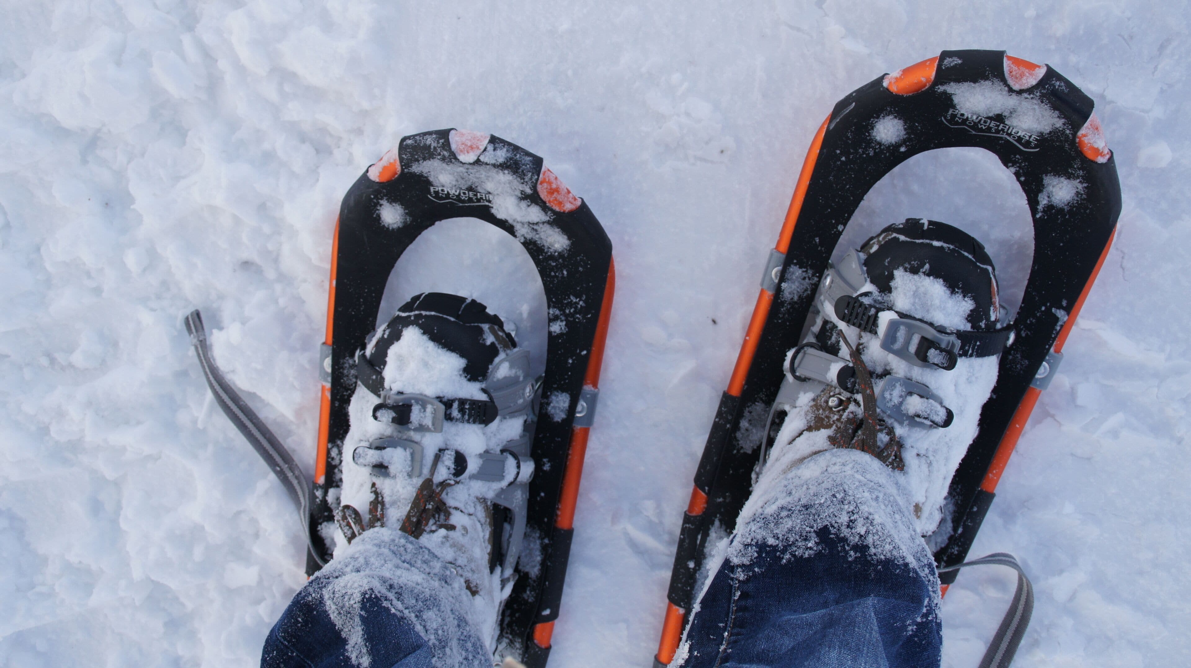 Un par de botas de esquí cubiertas de nieve, con detalles naranja y un marco negro, sobre una superficie nevada.