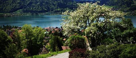 Vista panorámica de un lago rodeado de montañas y vegetación, con un sendero que lleva a un edificio.