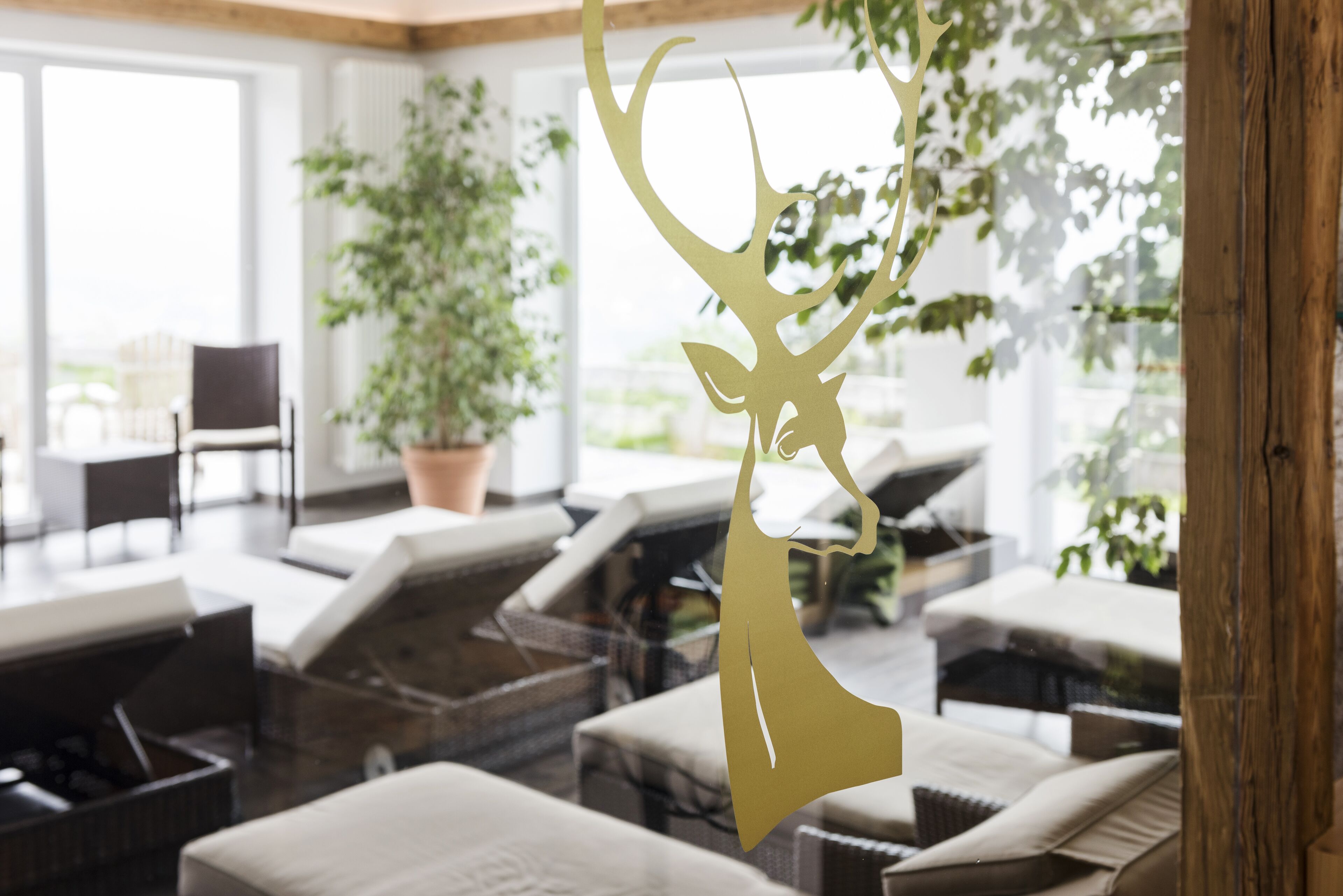 sauna, 1 treatment room, massages