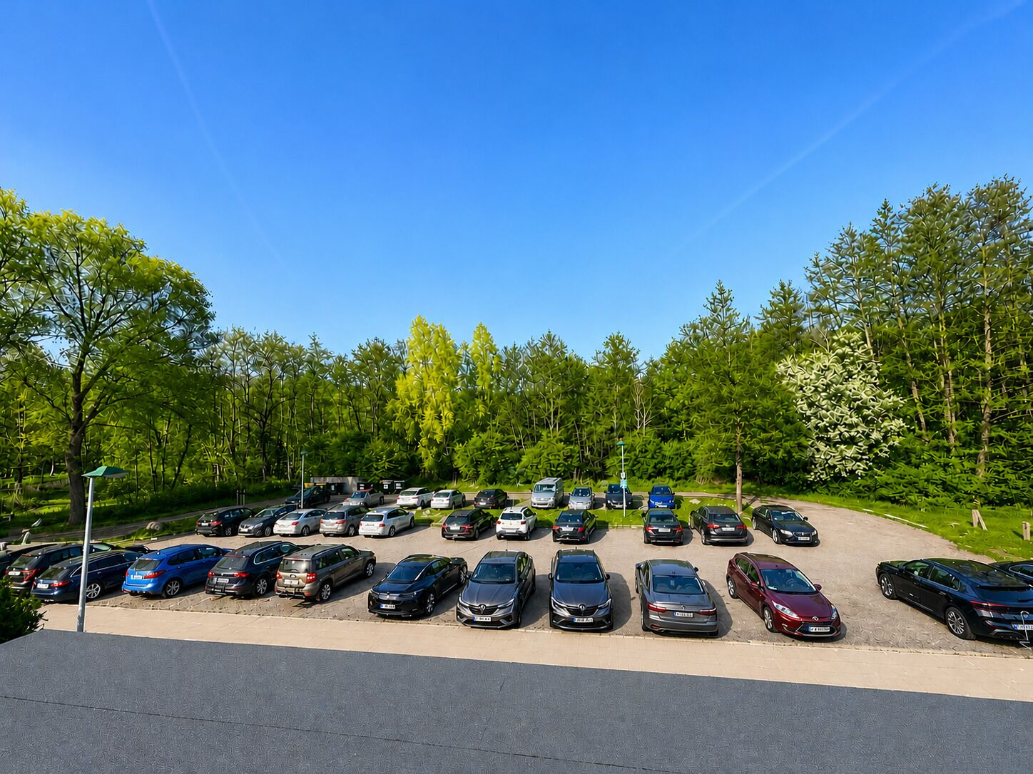 Um estacionamento com várias filas de carros estacionados, cercado por árvores e vegetação.