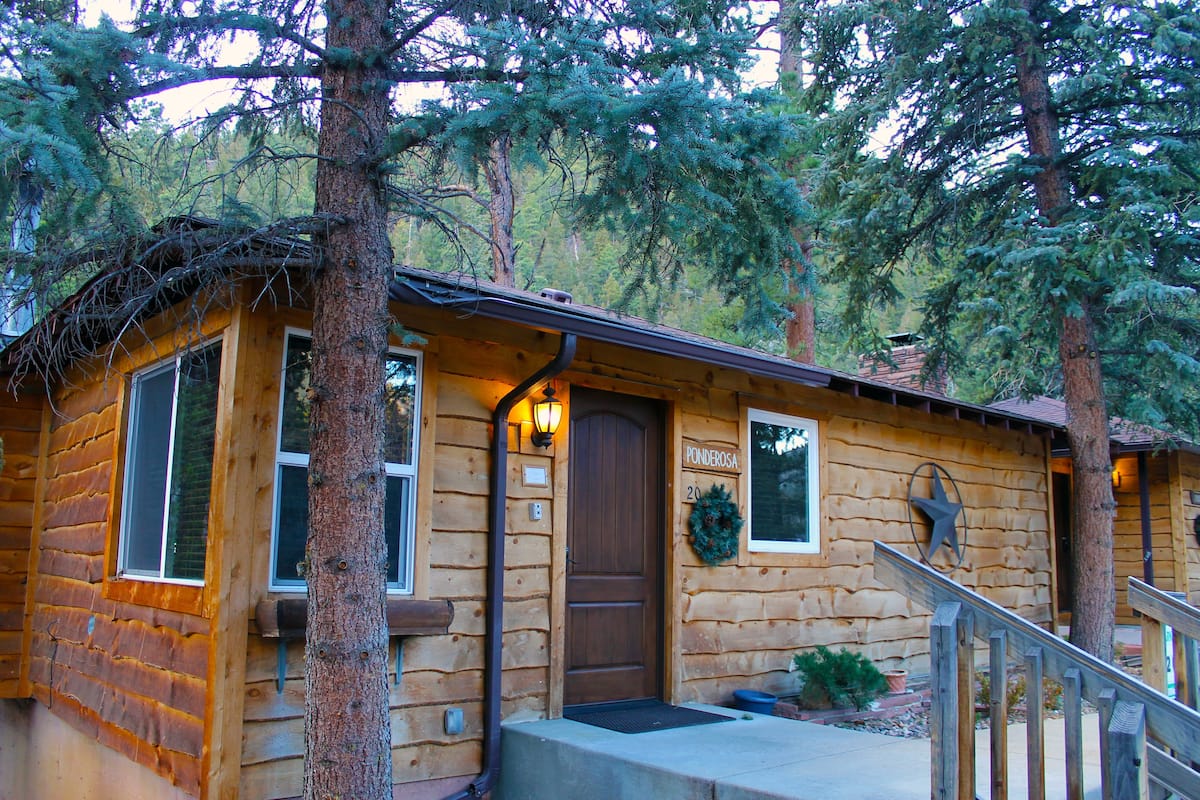 Luxury Cabin, 1 King Bed, Accessible, River View | 1 bedroom, hypo-allergenic bedding, pillowtop beds