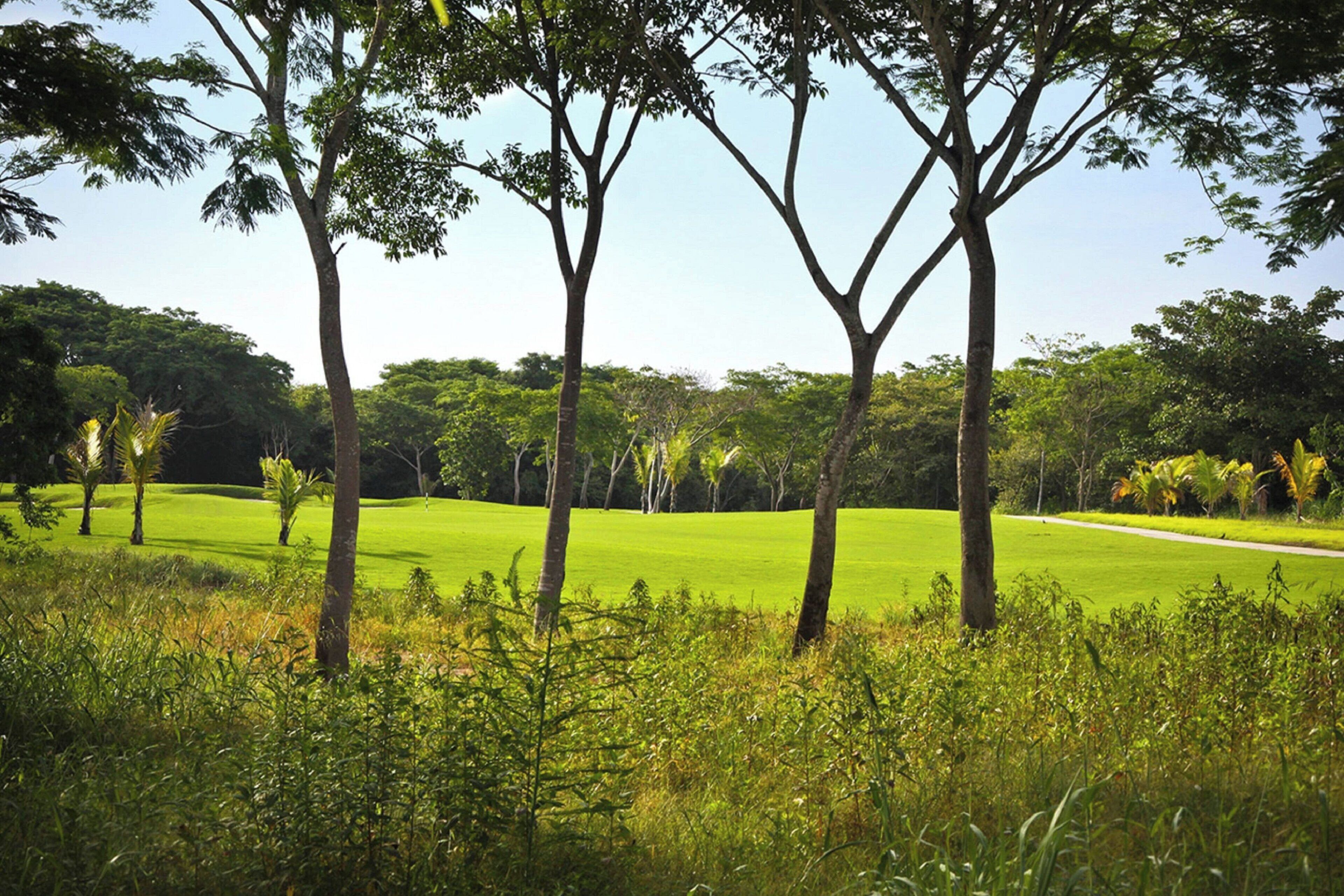 Foto - The Buenaventura Golf & Beach Resort, Autograph Collection