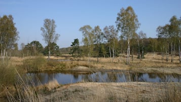 A natural landscape with a pond, trees, and dry grass.