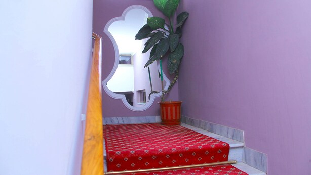 Eine Treppe mit rotem Teppich, einem Blumentopf und einem Spiegel an der Wand.