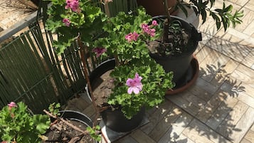 Jardín