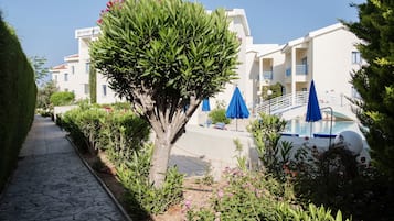 A pathway leading to a building with a pool, surrounded by greenery and blue umbrellas.