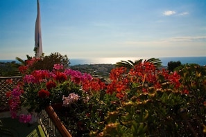 Vista de un paisaje costero con una torre alta y esbelta al fondo y flores coloridas en primer plano.