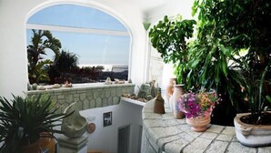 A balcony with a view of palm trees and a clear sky. There are potted plants and a stone wall.