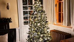 A Christmas tree in a room with a radiator, a window with curtains, and a wall-mounted lamp. - Carlisle House (Carlisle)