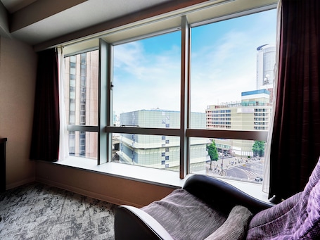 Desk, blackout drapes, soundproofing, iron/ironing board