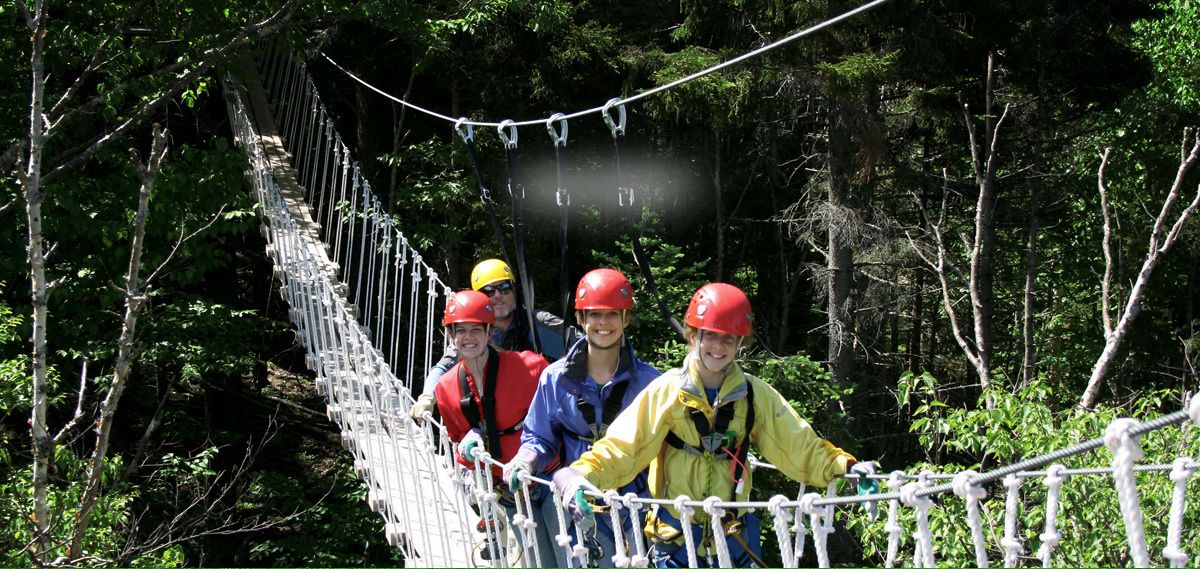 A group of people on a rope bridge in a forested area.