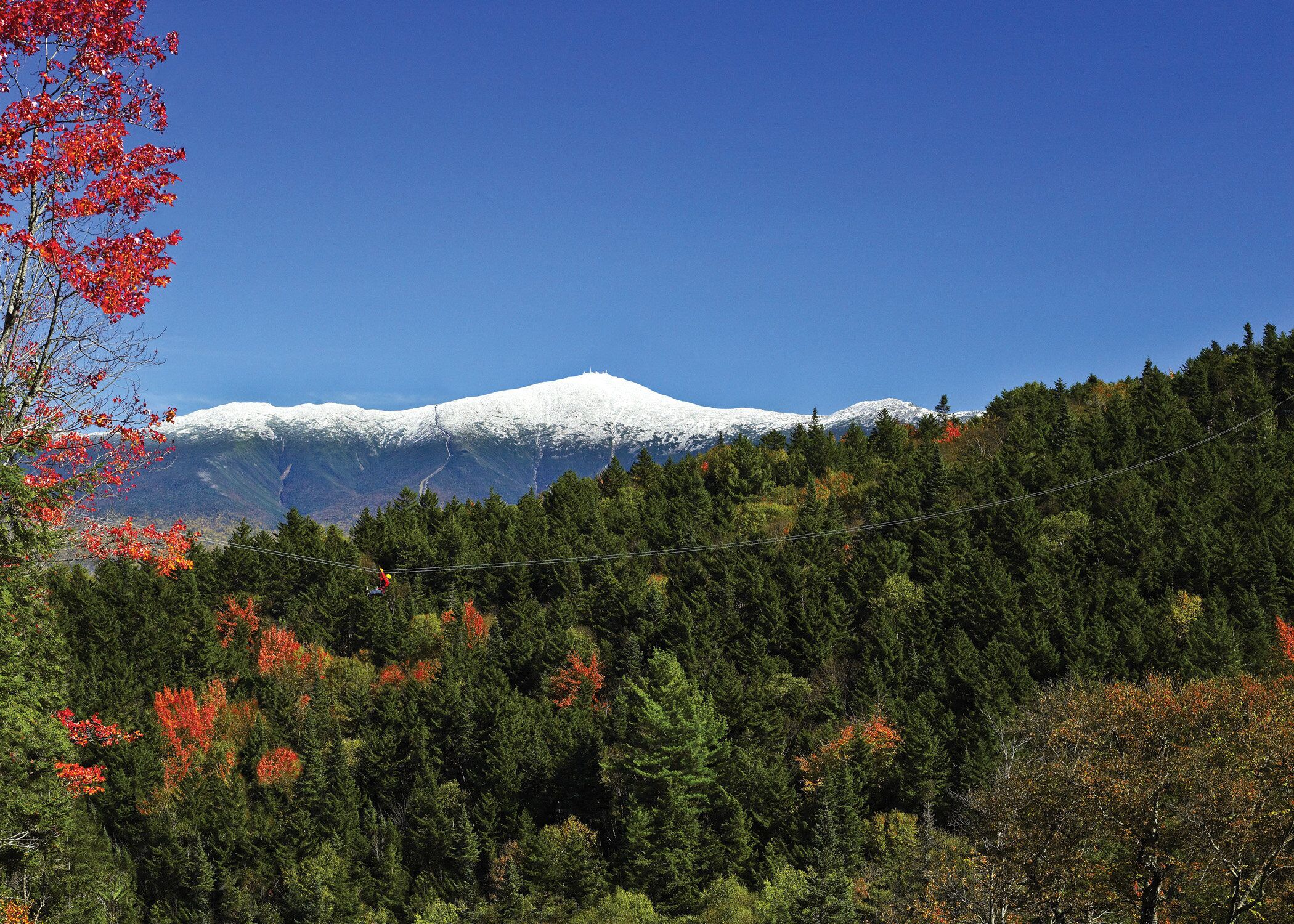Une montagne dont le sommet est enneigé, couverte d’une forêt dense et parée des couleurs de l’automne.