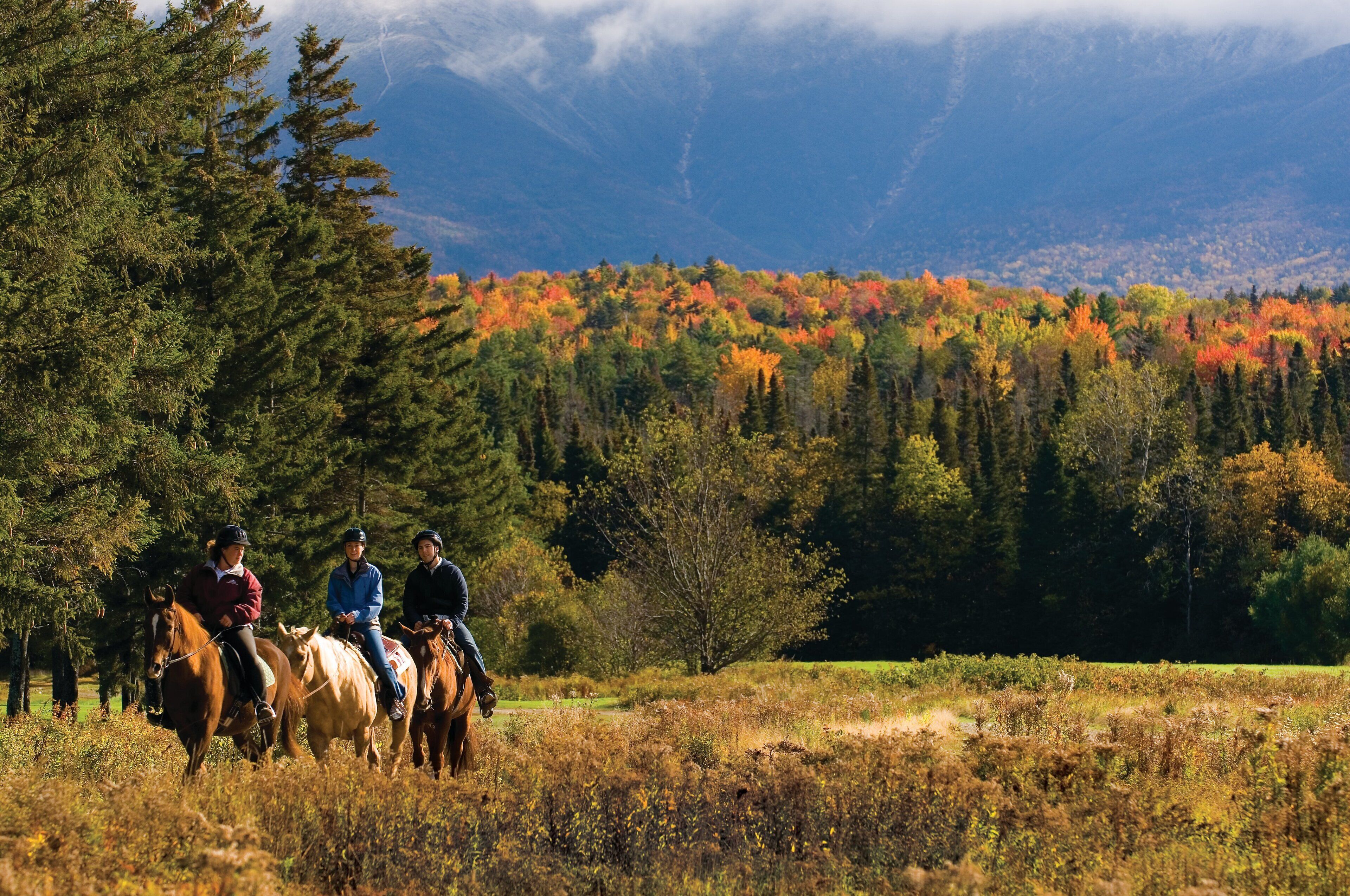 Three people riding horses in a natural landscape with trees and mountains in the background.
