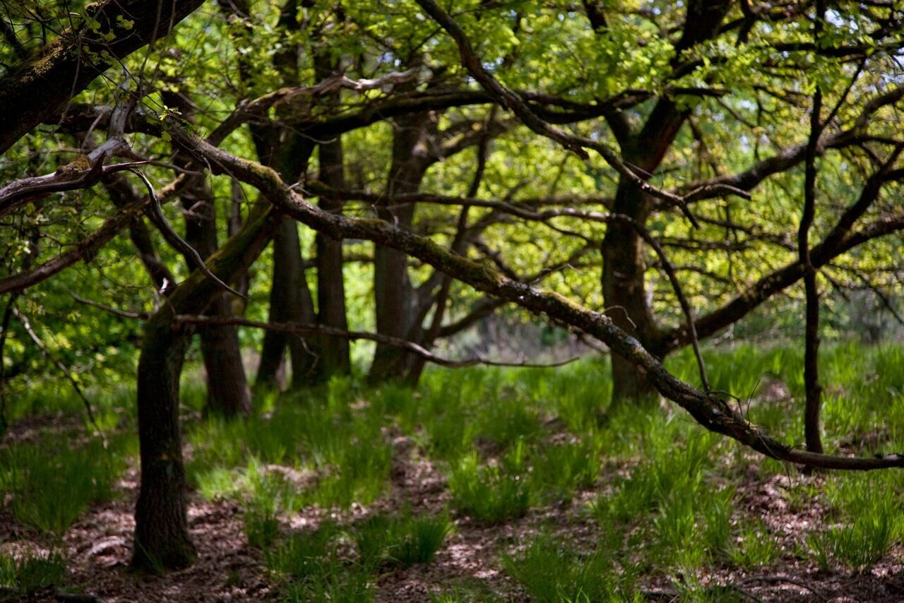 double room | view from room