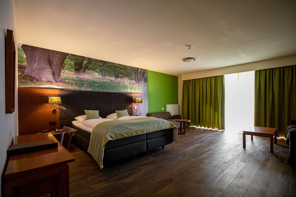 A hotel room with a large bed, a desk, a chair, and a view of a forest through a window.