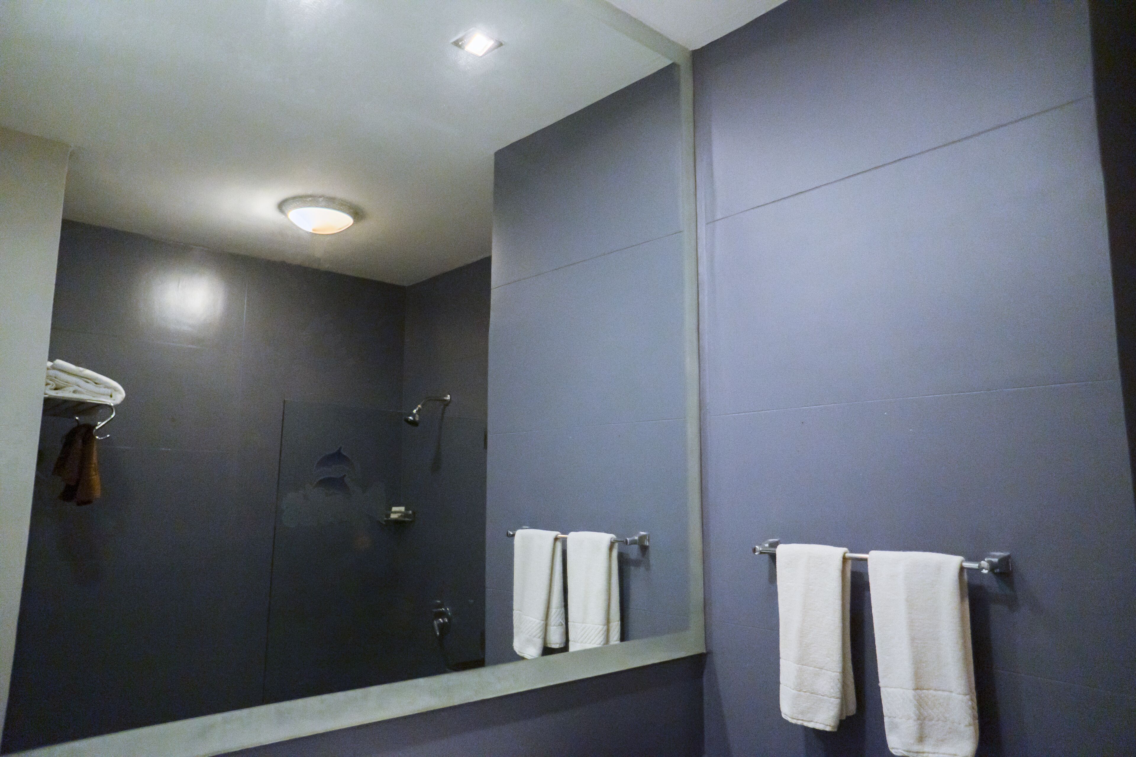 A bathroom with dark walls, a large mirror, and two towels hanging on a towel rack.