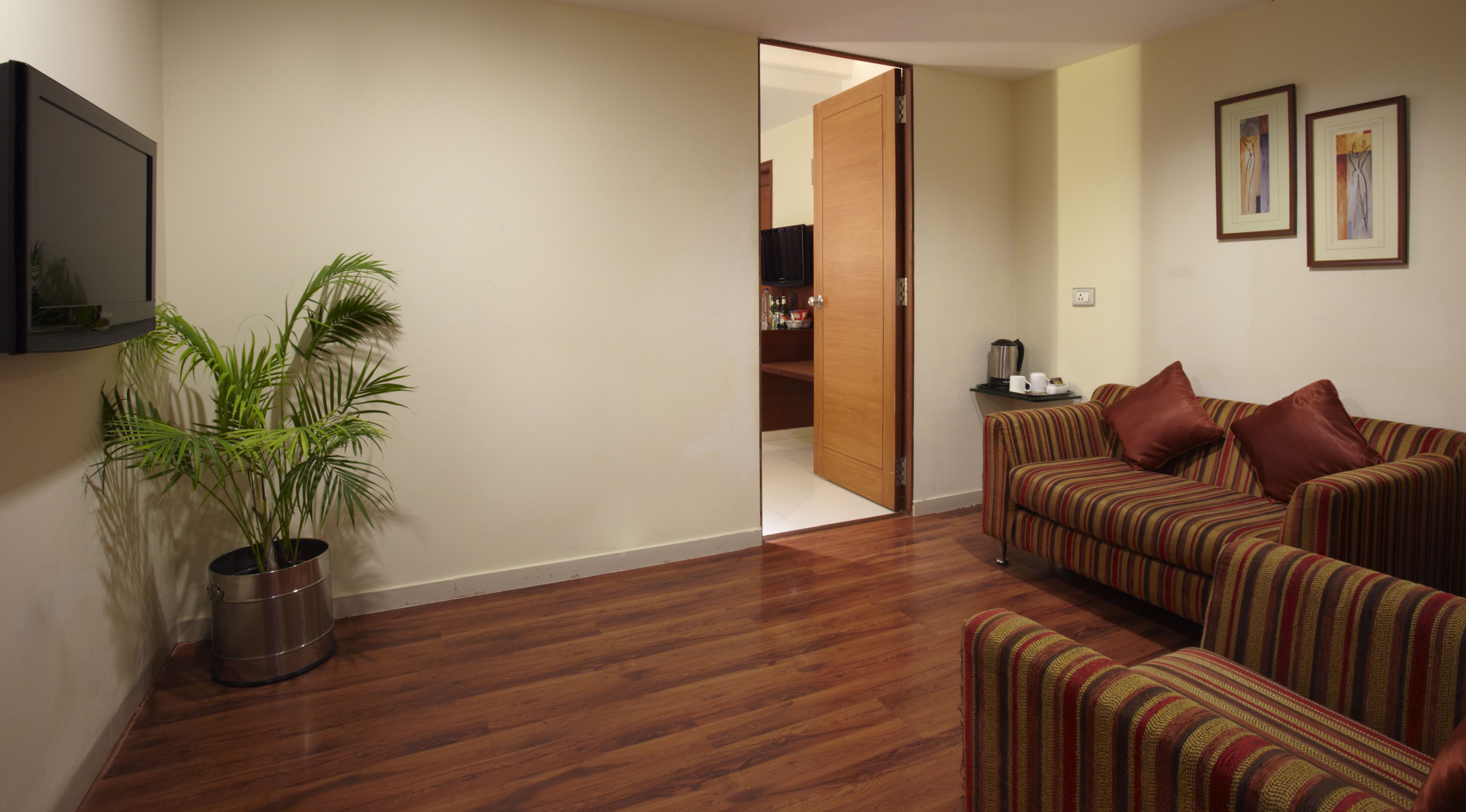 A living room with a wooden floor, a striped sofa, a potted plant, and a television mounted on the wall.