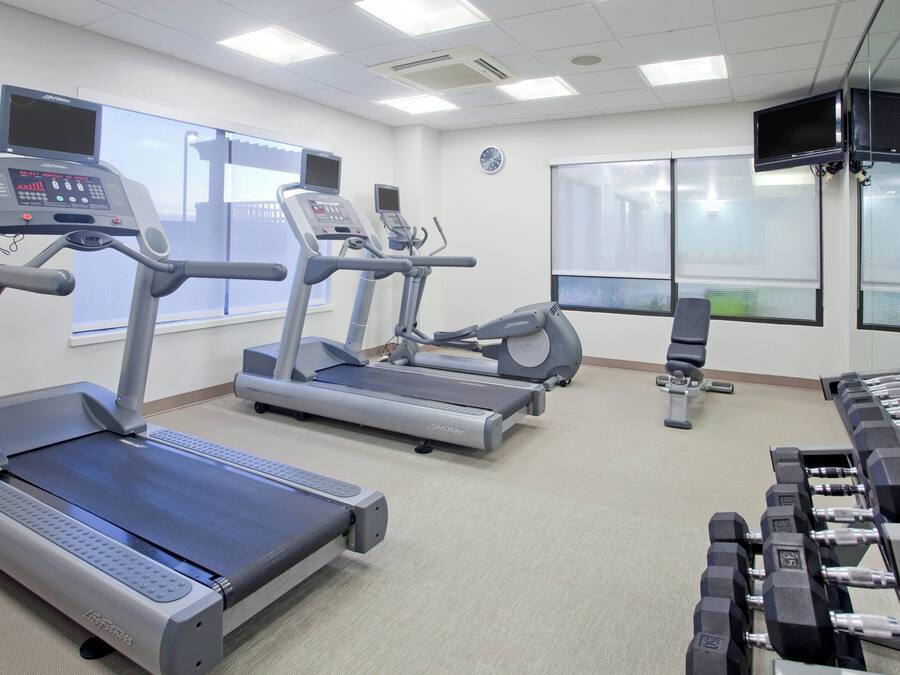 A gym with treadmills, elliptical machines, and a set of dumbbells.