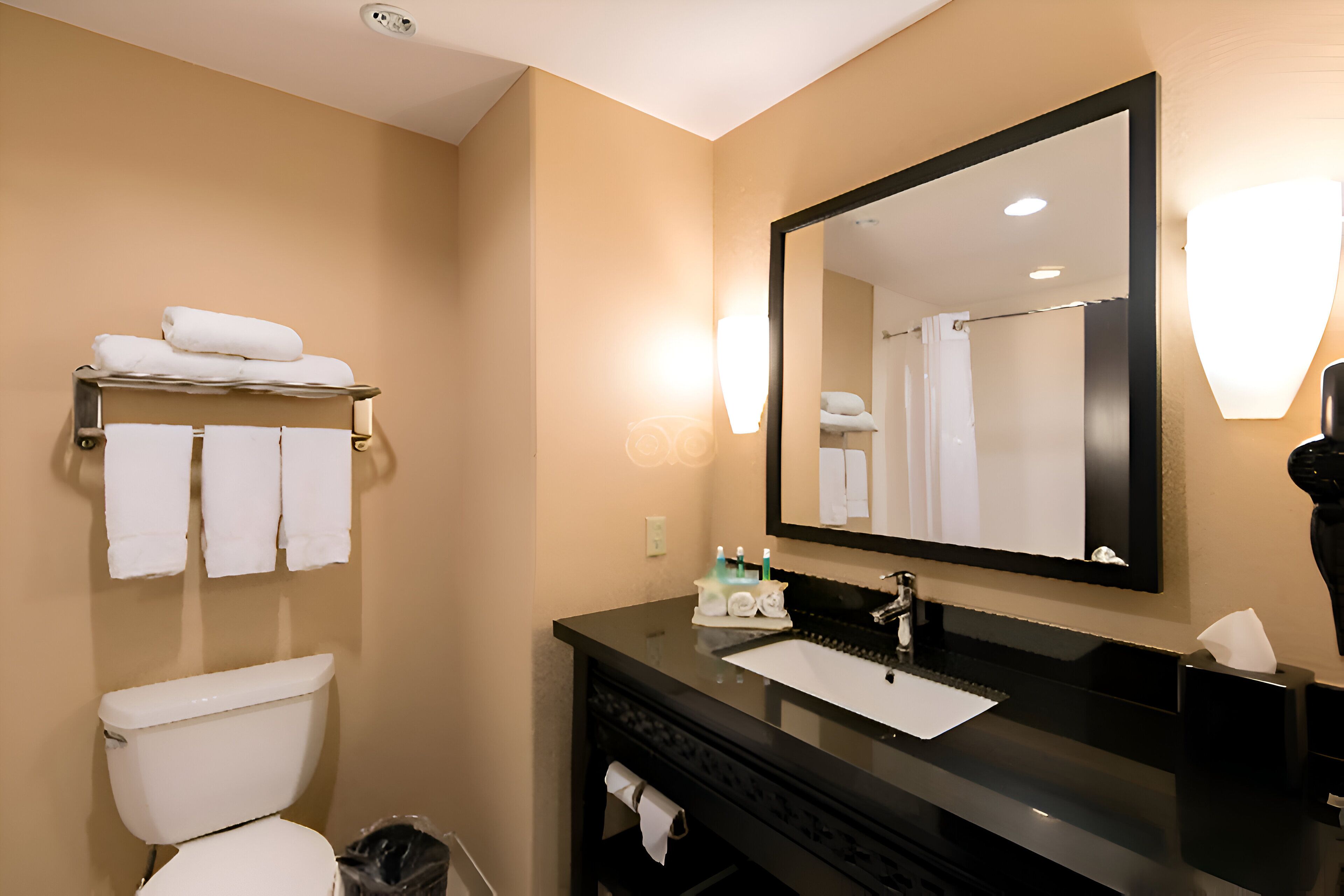 Foto - Comfort Inn & Suites Dallas Medical-Market Center