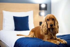 Hypo-allergenic bedding, minibar, in-room safe, desk - Hotel Bristol Budapest (Budapest)