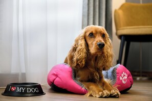 Roba de llit hipoal·lergògena, minibar i caixa forta a l'habitació 