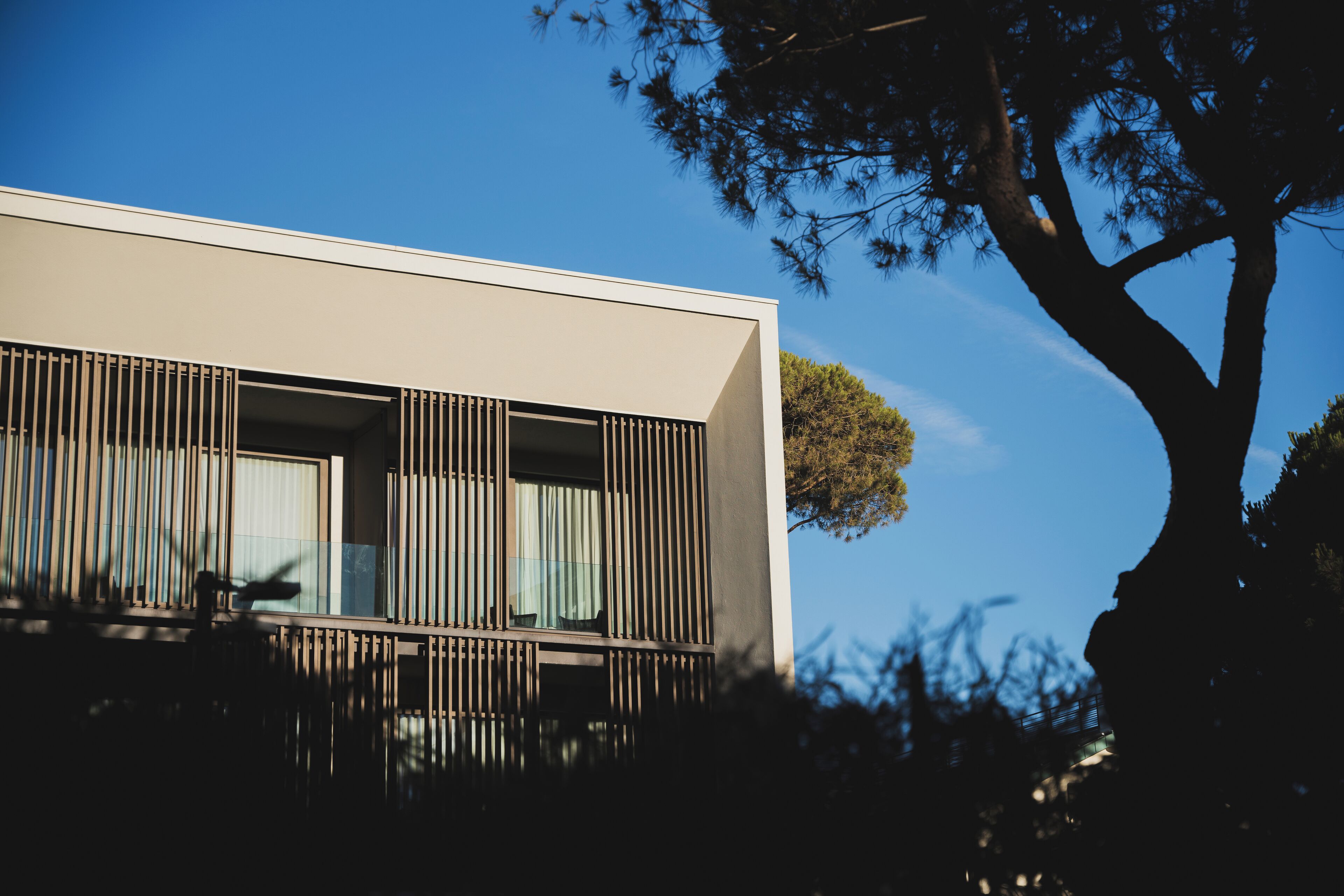 Photo - Villa Regina - MarePineta Resort