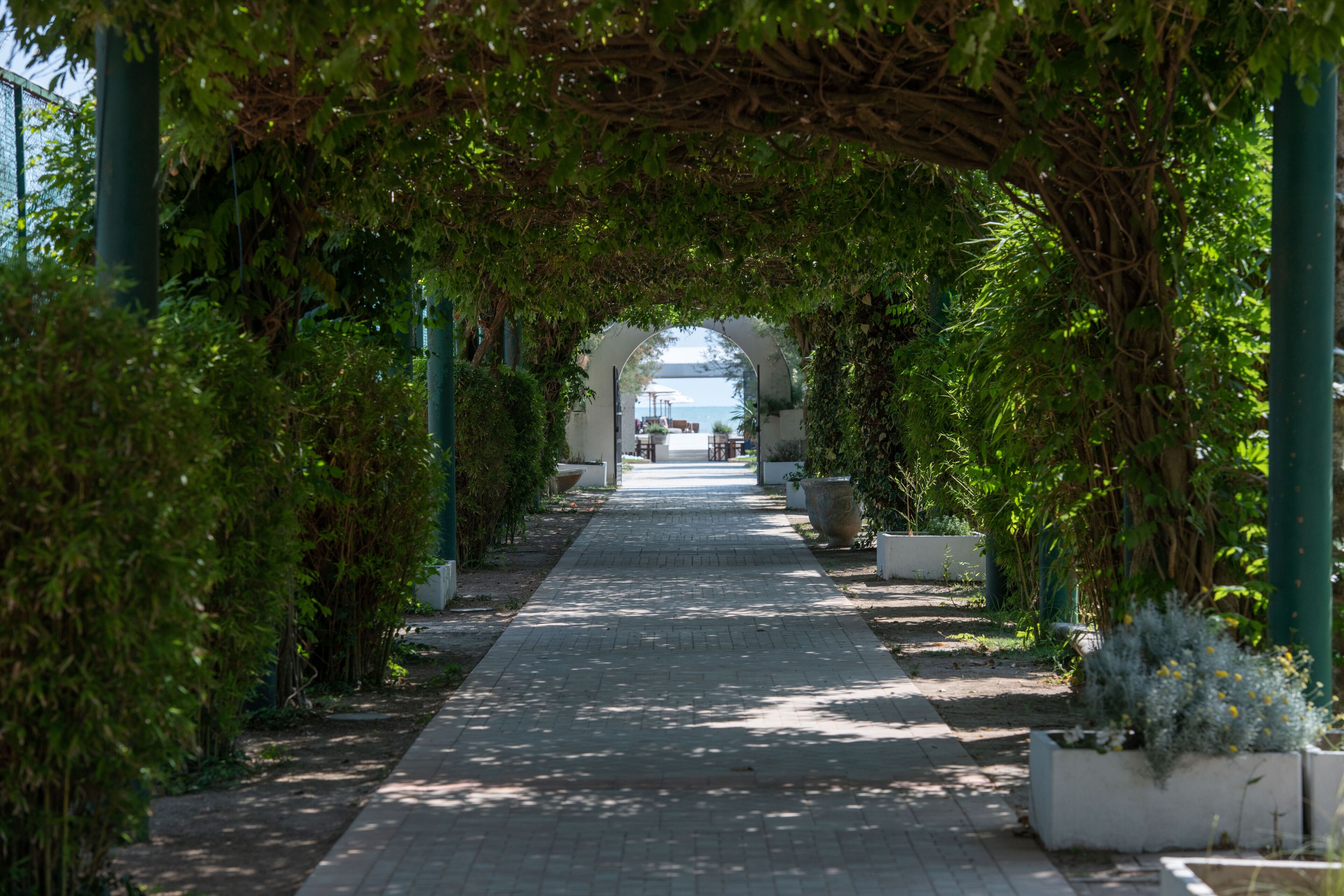 Photo - Villa Regina - MarePineta Resort