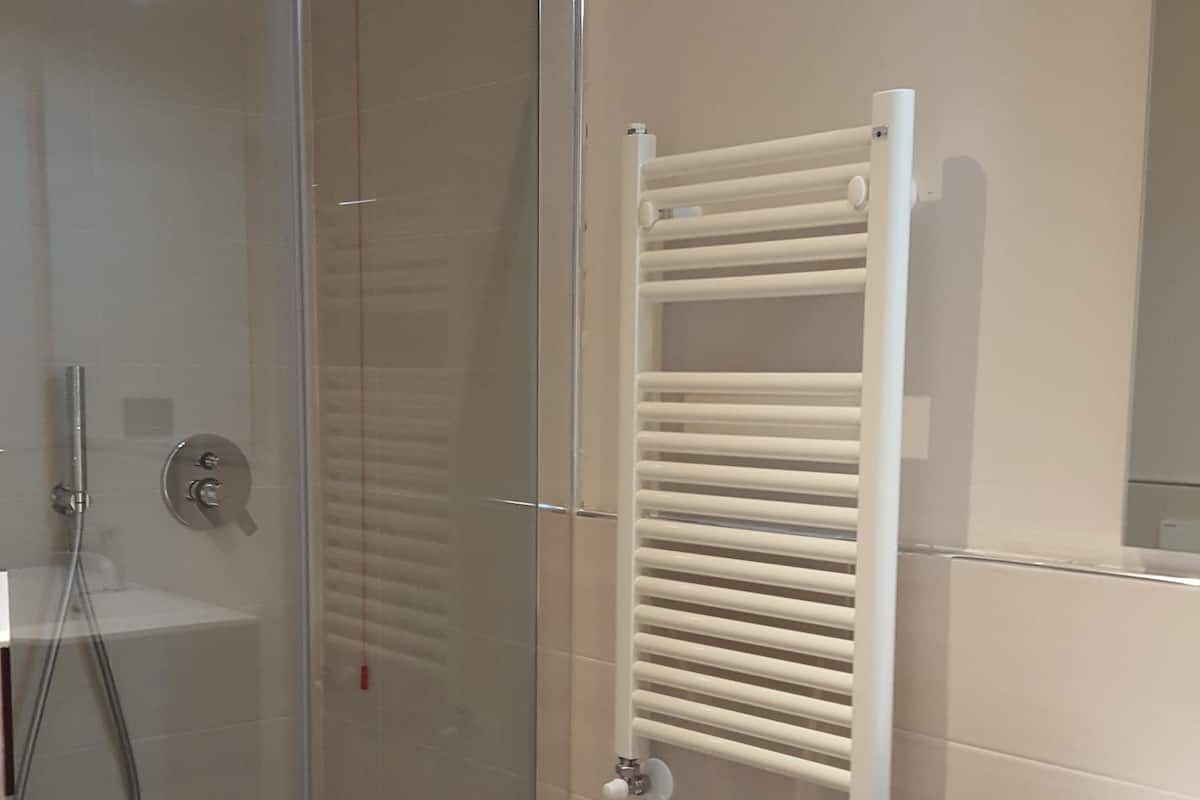 shower, hair dryer, bidet, towels